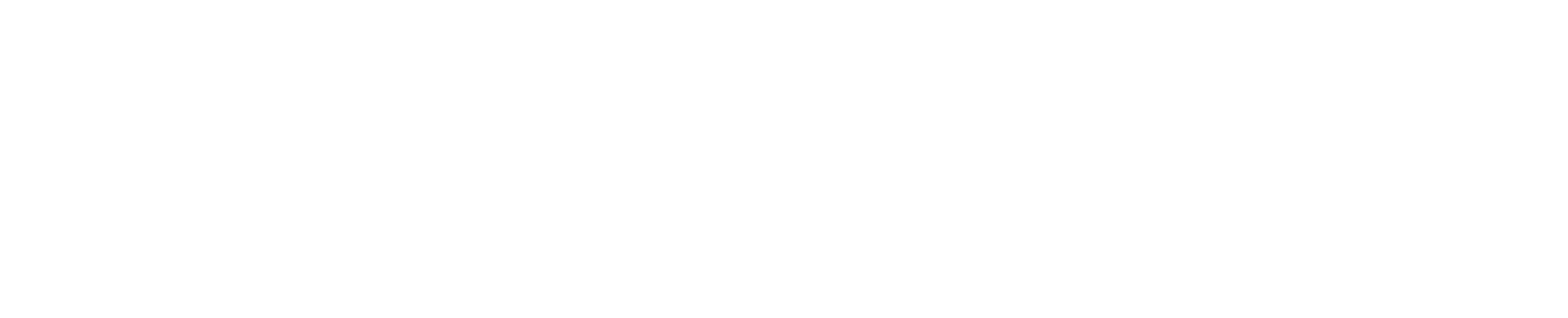 Logo TOBALAND